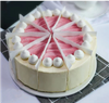 Single Cake Portion with Paper Divider Inserts